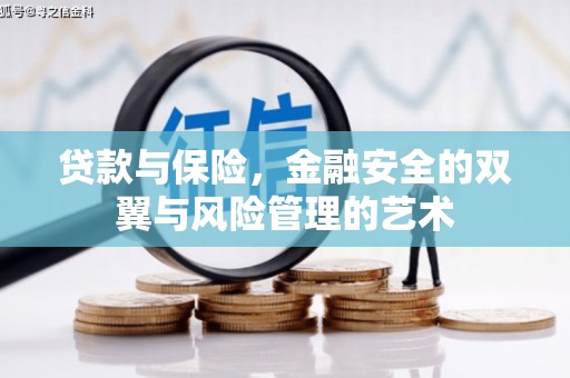 玉环贷款与保险，金融安全的双翼与风险管理的艺术