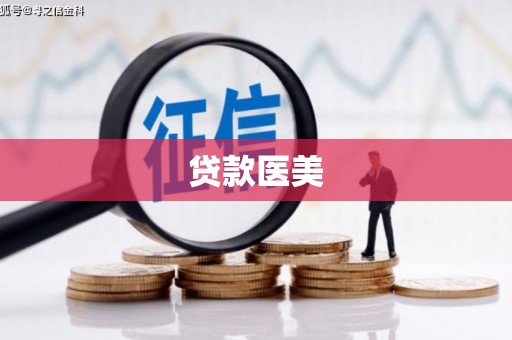 玉环贷款医美