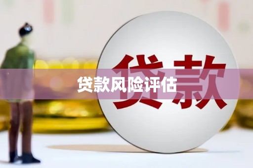 玉环贷款风险评估