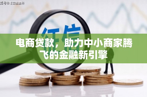 玉环电商贷款，助力中小商家腾飞的金融新引擎