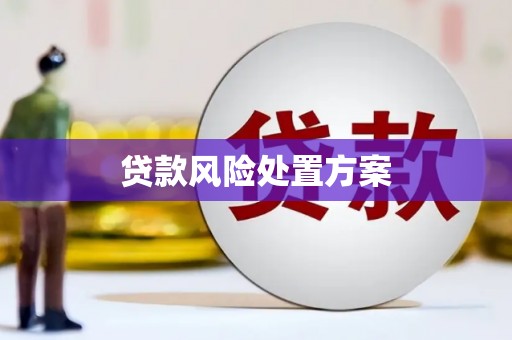 玉环贷款风险处置方案