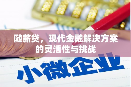 玉环随薪贷，现代金融解决方案的灵活性与挑战