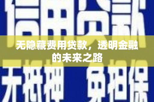 玉环无隐藏费用贷款，透明金融的未来之路