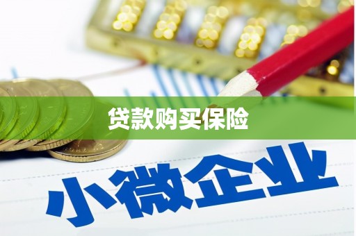 玉环贷款购买保险