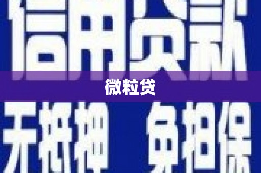 玉环微粒贷