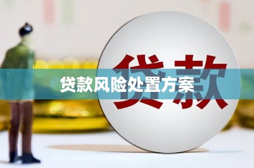 玉环贷款风险处置方案