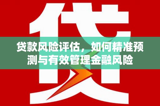 玉环贷款风险评估，如何精准预测与有效管理金融风险