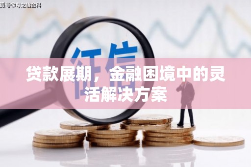 玉环贷款展期，金融困境中的灵活解决方案