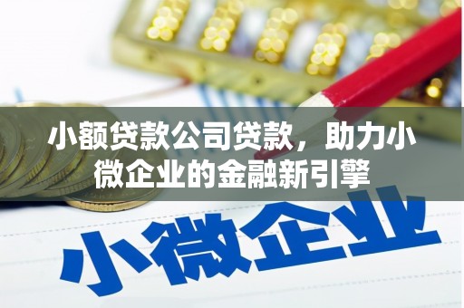 玉环小额贷款公司贷款，助力小微企业的金融新引擎