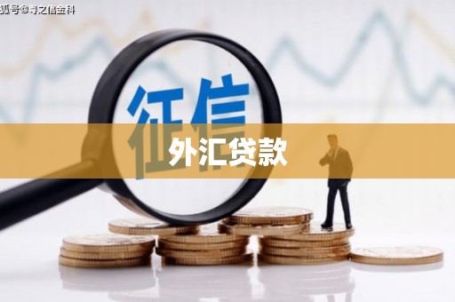 玉环外汇贷款