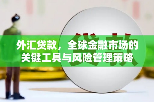 玉环外汇贷款，全球金融市场的关键工具与风险管理策略