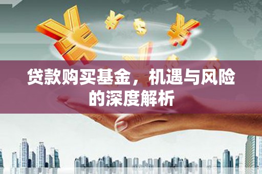 玉环贷款购买基金，机遇与风险的深度解析