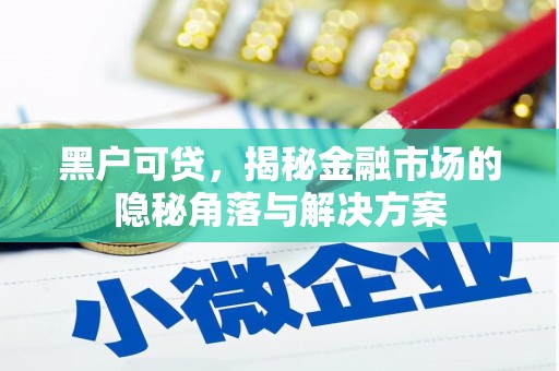 玉环黑户可贷，揭秘金融市场的隐秘角落与解决方案