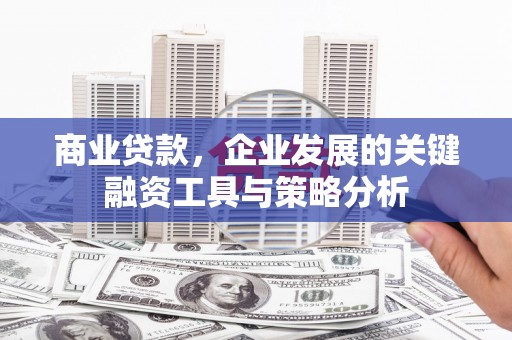 玉环商业贷款，企业发展的关键融资工具与策略分析
