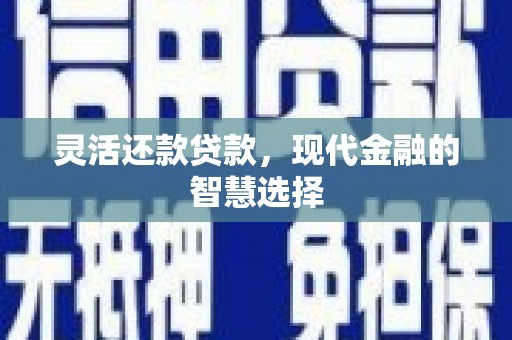 玉环灵活还款贷款，现代金融的智慧选择
