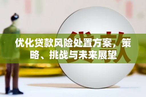 玉环优化贷款风险处置方案，策略、挑战与未来展望