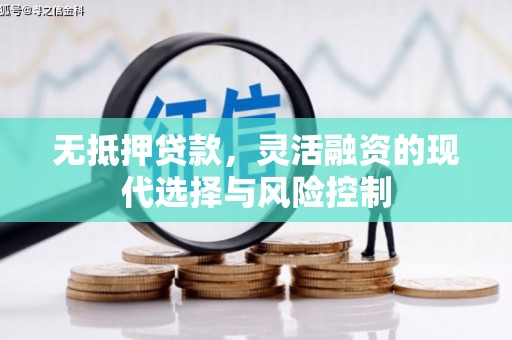 玉环无抵押贷款，灵活融资的现代选择与风险控制