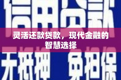 玉环灵活还款贷款，现代金融的智慧选择