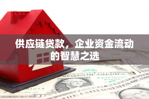 玉环供应链贷款，企业资金流动的智慧之选