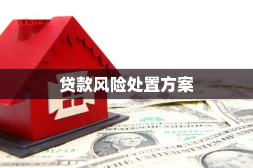 玉环贷款风险处置方案