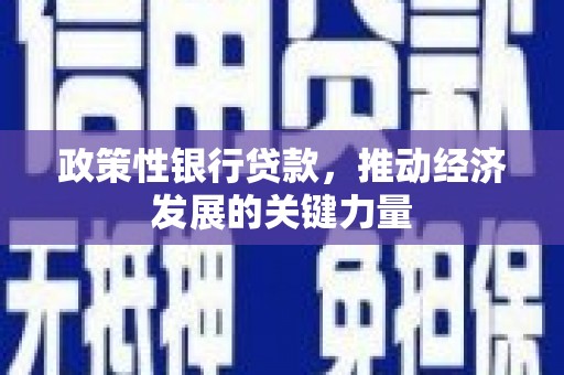 玉环政策性银行贷款，推动经济发展的关键力量
