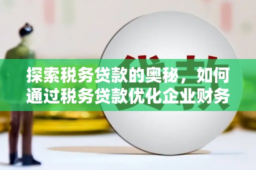 玉环探索税务贷款的奥秘，如何通过税务贷款优化企业财务