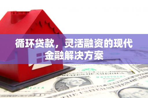 玉环循环贷款，灵活融资的现代金融解决方案