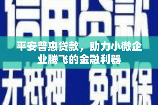 玉环平安普惠贷款，助力小微企业腾飞的金融利器