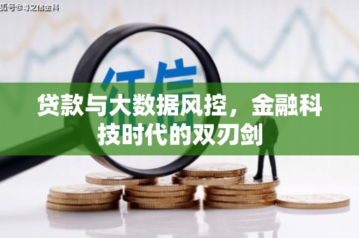 玉环贷款与大数据风控，金融科技时代的双刃剑