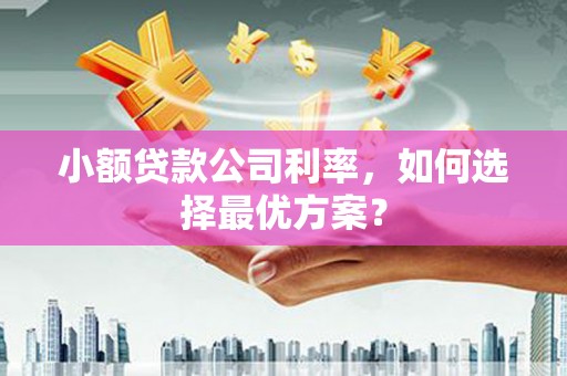 玉环小额贷款公司利率，如何选择最优方案？