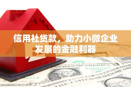 玉环信用社贷款，助力小微企业发展的金融利器