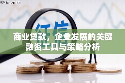 玉环商业贷款，企业发展的关键融资工具与策略分析