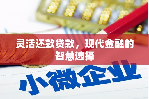 玉环灵活还款贷款，现代金融的智慧选择
