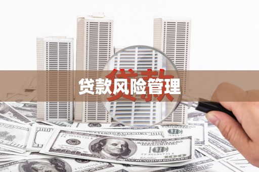 玉环贷款风险管理
