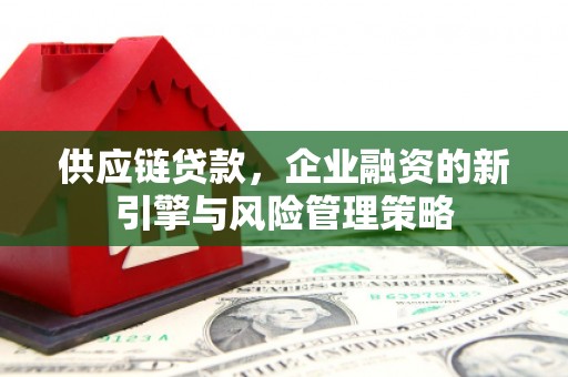 玉环供应链贷款，企业融资的新引擎与风险管理策略