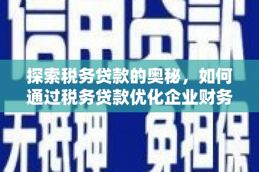 玉环探索税务贷款的奥秘，如何通过税务贷款优化企业财务