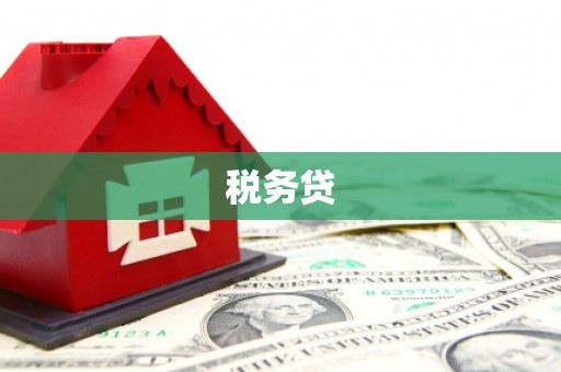 玉环税务贷