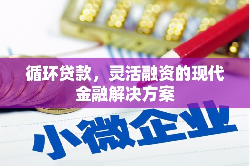 玉环循环贷款，灵活融资的现代金融解决方案