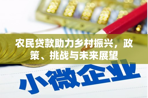 玉环农民贷款助力乡村振兴，政策、挑战与未来展望