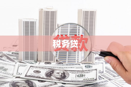 玉环税务贷