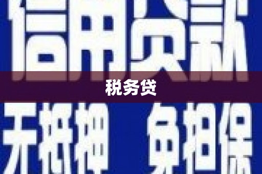 玉环税务贷