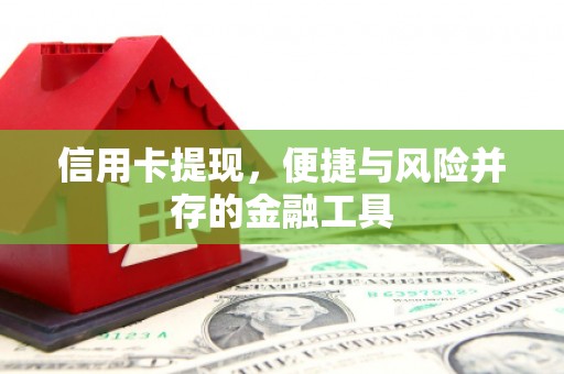 玉环信用卡提现，便捷与风险并存的金融工具