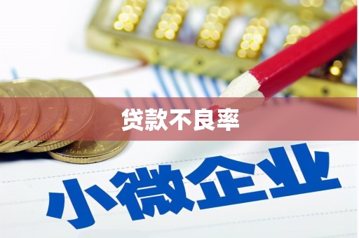 玉环贷款不良率