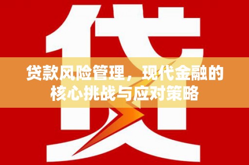 玉环贷款风险管理，现代金融的核心挑战与应对策略