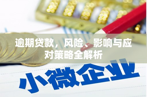 玉环逾期贷款，风险、影响与应对策略全解析