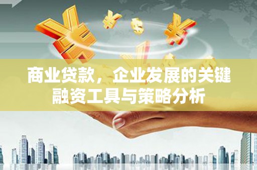 玉环商业贷款，企业发展的关键融资工具与策略分析