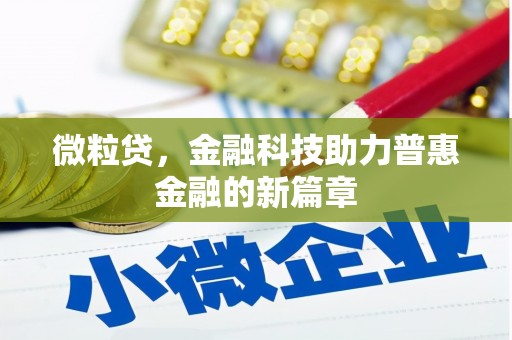 玉环微粒贷，金融科技助力普惠金融的新篇章