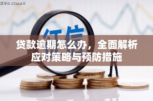玉环贷款逾期怎么办，全面解析应对策略与预防措施