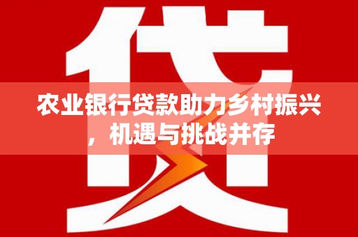 玉环农业银行贷款助力乡村振兴，机遇与挑战并存