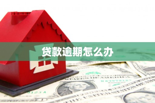玉环贷款逾期怎么办